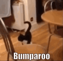 Bump Bumps GIF - Bump Bumps Bumo GIFs