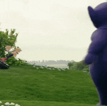 a purple teddy bear is standing in a field of grass