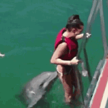 Dolphin Naughty Dolphin GIF - Dolphin Naughty Dolphin Dolphin Poke GIFs