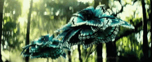 a close up of a blue flower in the woods .