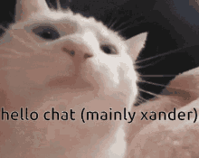 Hello Chat Xander GIF - Hello Chat Xander Hello Xander GIFs