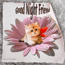poesje cat goodnight good night friend flower