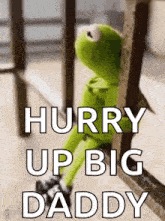 kermit the frog is sitting on a railing looking out a window and saying `` hurry up big daddy '' .