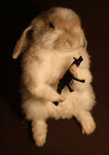 a fluffy rabbit is holding a small toy gun in its paws