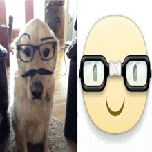 a dog wearing glasses and a mustache next to a picture of a smiling face