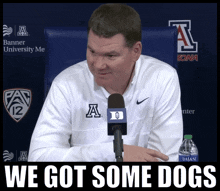 Tommy Lloyd We Got Some Dogs GIF