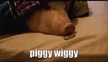 Piggy Wiggy Cookie GIF - Piggy Wiggy Pig Cookie GIFs