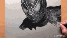 a drawing of a spider man is being made by animatica