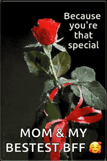 You Are Special Rose GIF