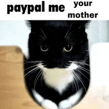 a black and white cat is sitting on a table with a paypal me your mother meme .