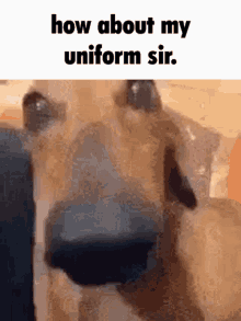 How About My Uniform Sir GIF - How About My Uniform Sir GIFs