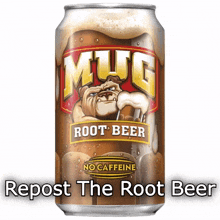 beer root