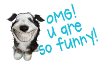 Funny Dog Sticker - Funny Dog Cat Stickers