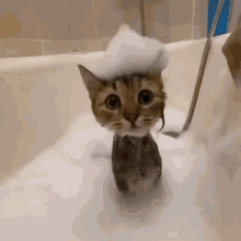 GIF