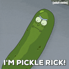 Pickle GIF - Pickle GIFs