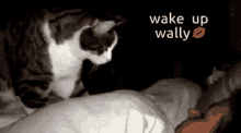 Wake Up Wally GIF - Wake Up Wally GIFs