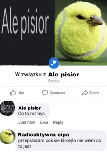 Ale Pisior GIF