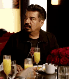 Mimosa Are You Serious GIF - Mimosa Are You Serious Come On Man GIFs
