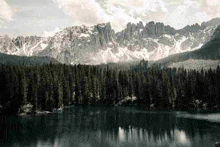 there is a lake in the middle of a forest in the mountains .