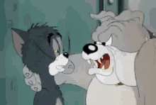 Tom And Jerry Accordion GIF - Tom And Jerry Accordion Cat GIFs