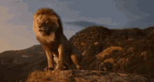 Lion King Mufasa GIF - Lion King Mufasa Simba GIFs