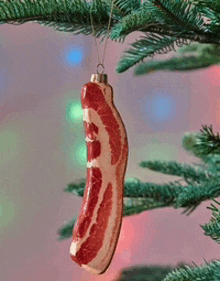 Bacon Xmas GIF