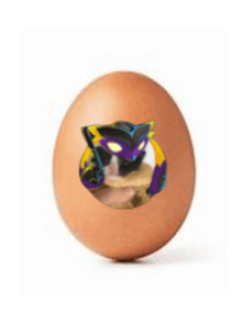 a brown egg with a picture of a squirrel in a mask on it