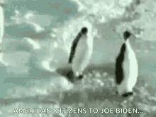 a couple of penguins are standing on top of a snow covered iceberg .