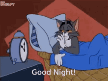Good Night Tom And Jerry GIF