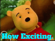 Winnie The Pooh How Exciting GIF - Winnie The Pooh How Exciting Excited GIFs
