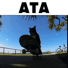 Skate Kanji Cat GIF
