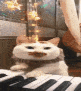 a white cat is sitting on a piano keyboard wearing a scarf .