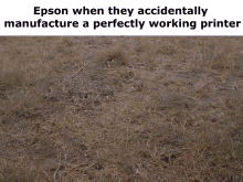 epson when they accidentally manufacture perfectly working
