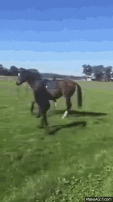 Horse Woman GIF - Horse Woman Angry GIFs