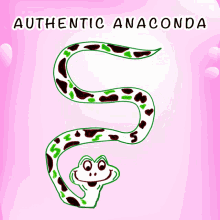 authentic anaconda veefriends genuine real original