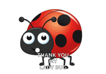 Ladybug GIF