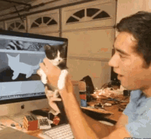 Kitten Computer GIF - Kitten Computer Magic GIFs