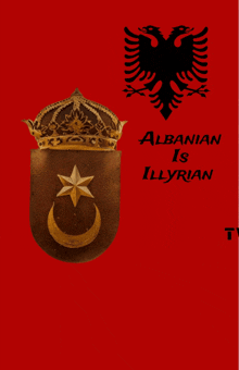 Albanian Is Illyrian Tv GIF