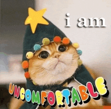 a cat wearing a christmas hat with a star on it .