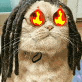 a close up of a cat wearing dreadlocks and sunglasses with flames in the eyes