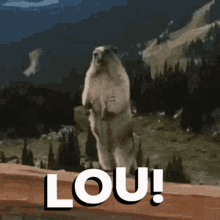 Lou Hi Lou GIF