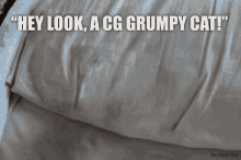 Cg Grumpy Cat - Grumpy Cat GIF - I Hate It Grumpy Cat GIFs