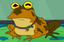 Hypnotoad GIF - Futurama Toad Frog GIFs