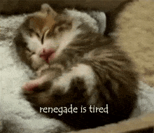 Renegade Is GIF - Renegade Is Tired GIFs