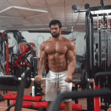 Work Out Biceps GIF - Work Out Biceps Chad GIFs