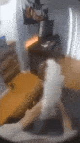 a blurry picture of a person sitting on a chair
