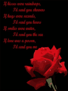Love Rose GIF - Love Rose GIFs