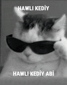 Hawlı Kediy Abi Havalı GIF - Hawlı Kediy Abi Havalı Kedi Havalı GIFs