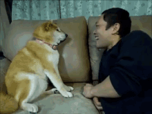 I Don'T Kiss Asians GIF - Dogs Kissing No GIFs
