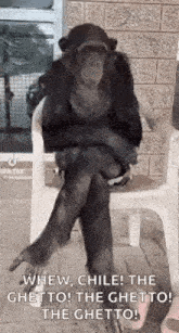 a chimpanzee is sitting on a chair with its legs crossed and arms crossed .